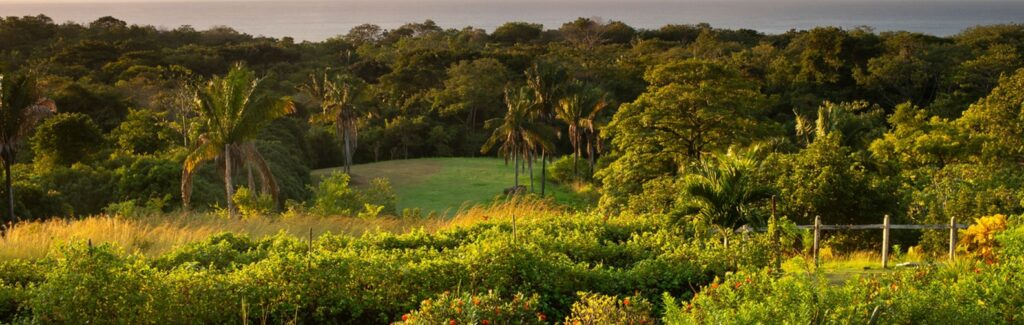 How Vacationing in a Blue Zone – Like Costa Rica – Boosts Wellbeing