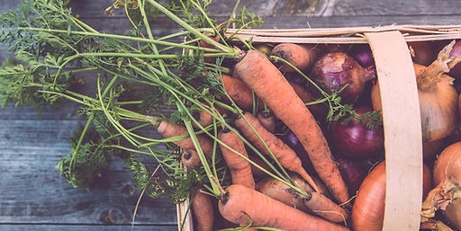 Harmonic Farming Creates Unique Gastronomy